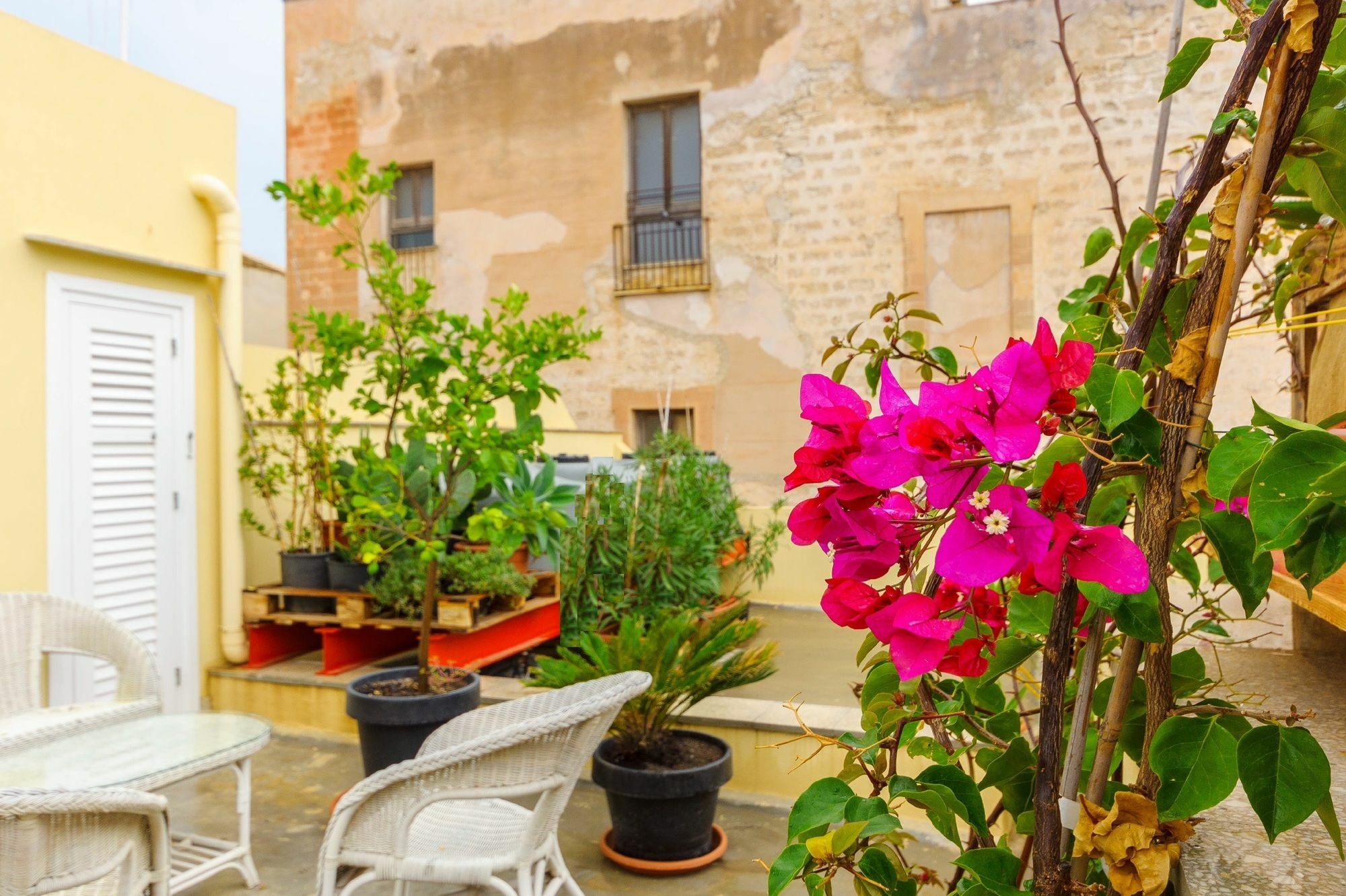 Le Vie Di Trapani Apartment ภายนอก รูปภาพ